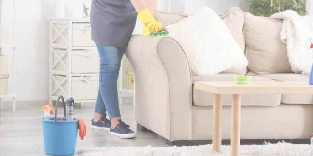 best upholstery cleaning services