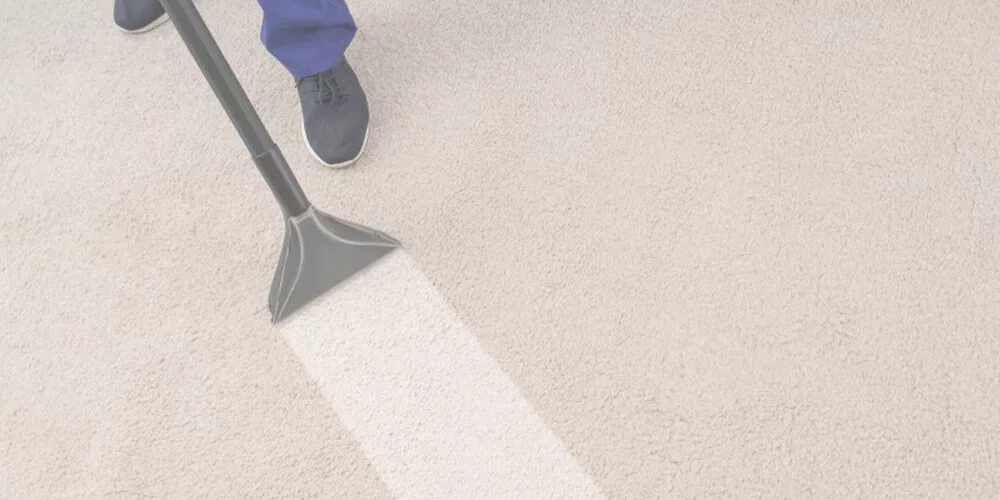 carpet cleaning services in Chicago il