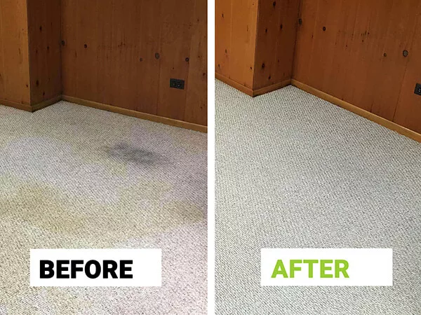 Carpet Cleaning