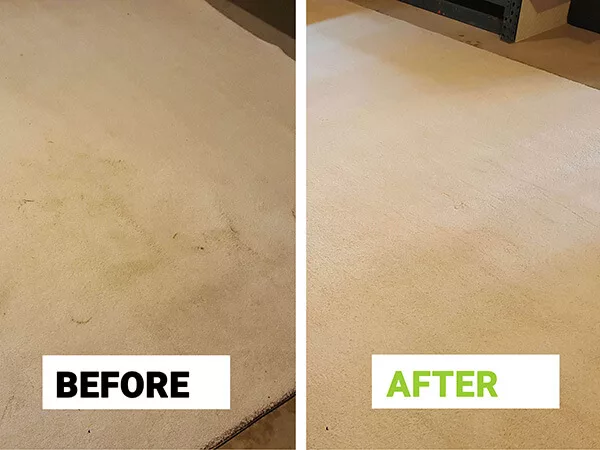 Rug Cleaning